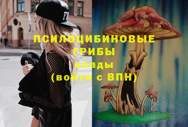 кокаин Алексеевка